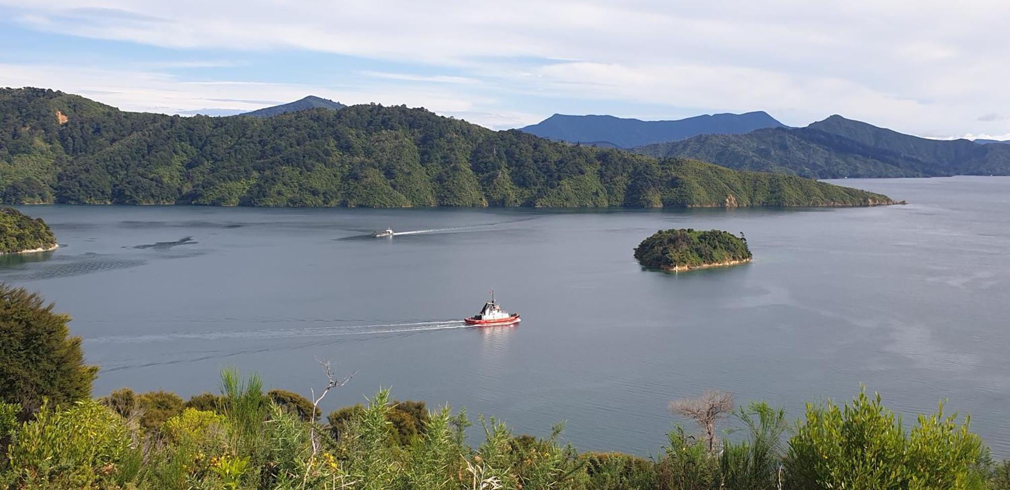 Enchanted Escape Picton Εξωτερικό φωτογραφία